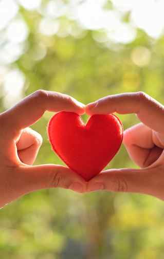 Giving fund: Felt heart held in two hands